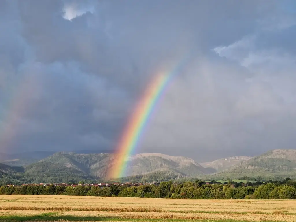 20230831 074509 1024x768