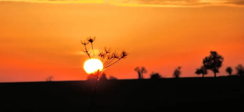 Über mich 20241017 075109 1024x473