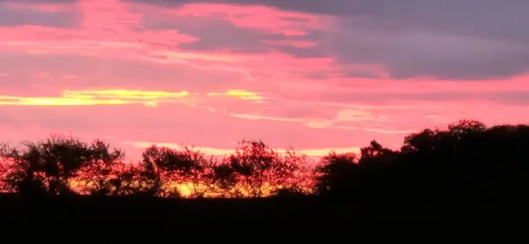 Welches Thema steht für dich ganz oben ? 20241022 0743391 768x355